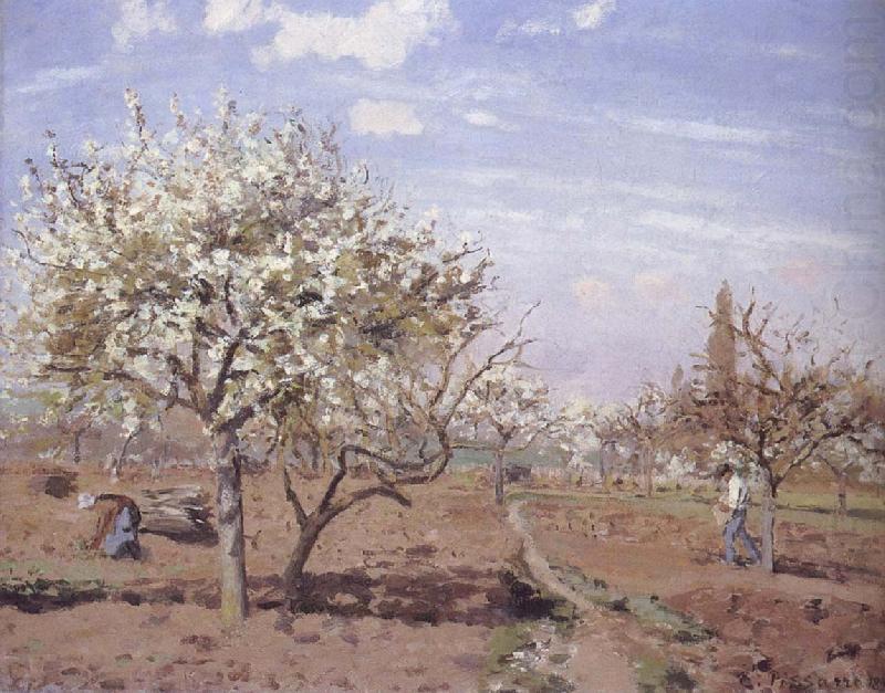 Flowering frukttradgard Louveciennes, Camille Pissarro
